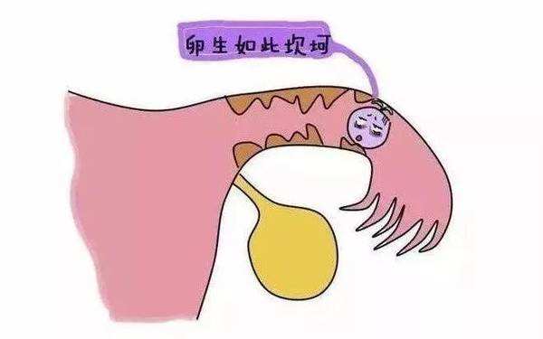 苏州权威不孕医院