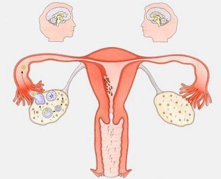 苏州权威妇科医院