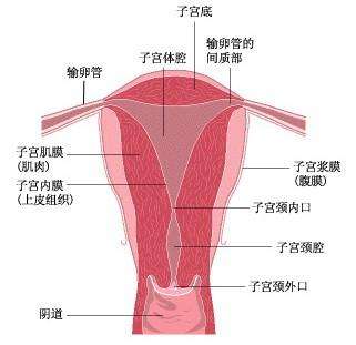 苏州尿道炎医院