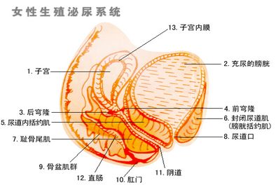 苏州尿道炎医院