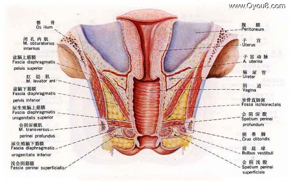 苏州尿道炎治疗医院