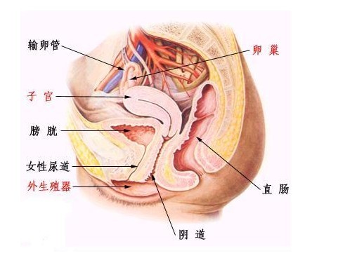 苏州尿道炎治疗医院