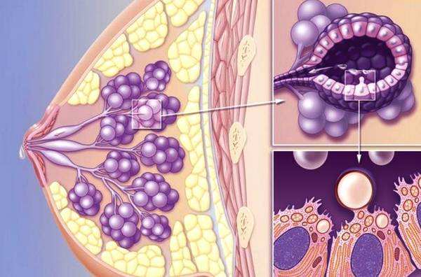 苏州治疗乳腺增生