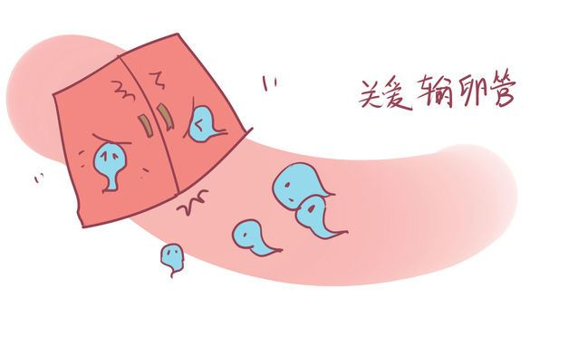 苏州治疗输卵管好的医院