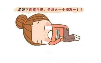 苏州治疗外阴瘙痒的费用