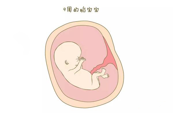 苏州堕胎的医院