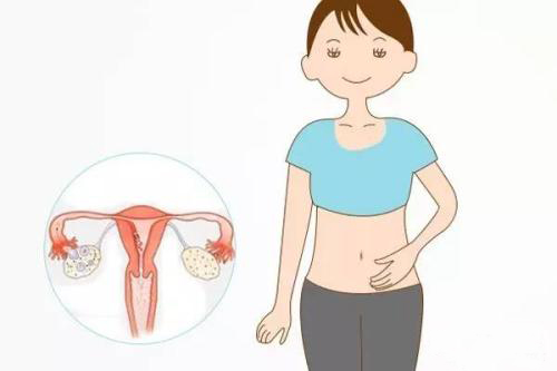 苏州治疗外阴炎的费用