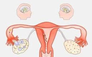 苏州做子宫息肉手术疼吗