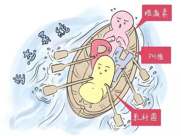 苏州哪里治疗阴道炎便宜