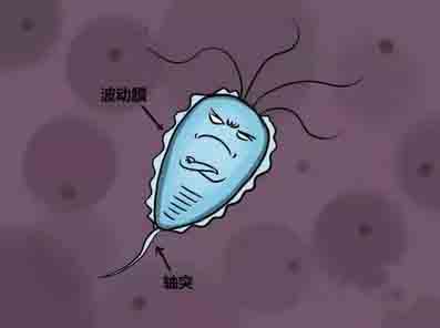 苏州治疗阴部瘙痒的医院