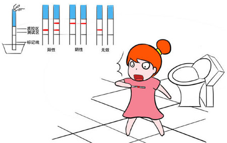 苏州治疗排卵的费用