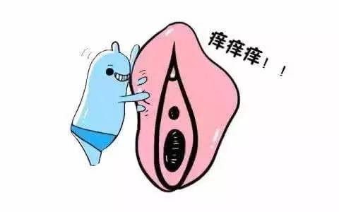 苏州治疗外阴痒哪里不错