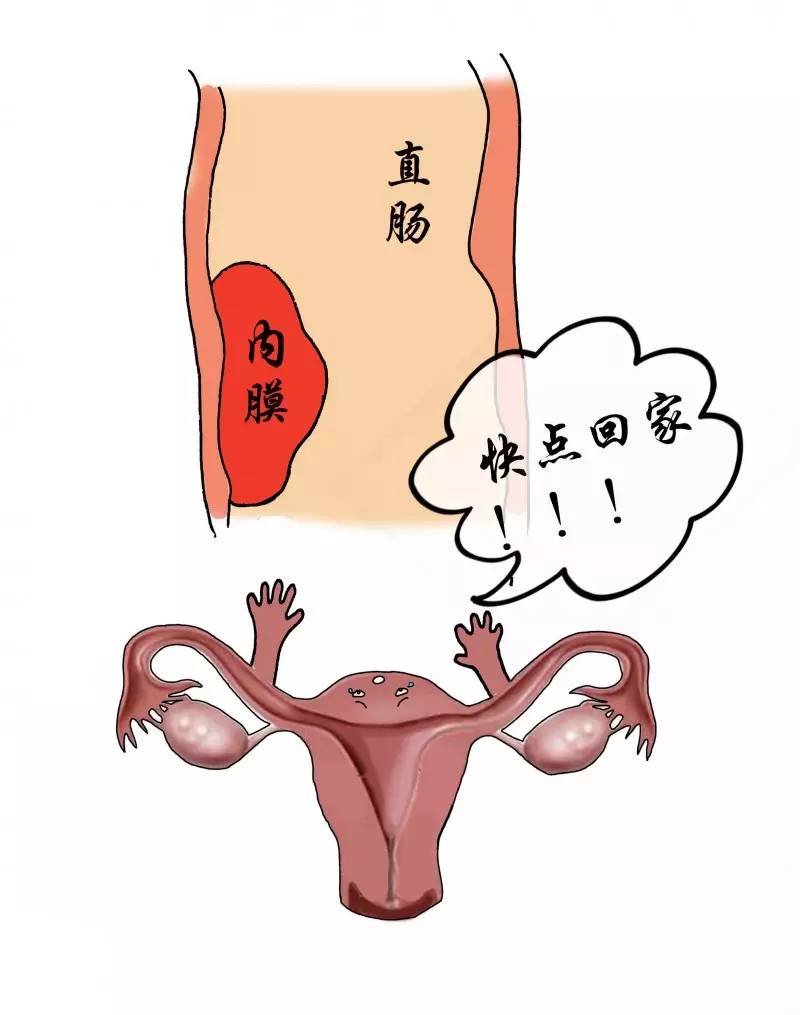 苏州治疗妇科疾病哪里不错